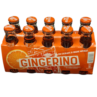 Recoaro Gingerino, 1 Packung (10 × 100 ml)
